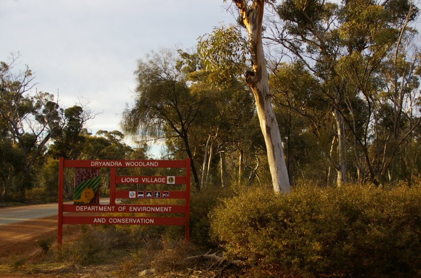 Dryandra Woodland National Park, Australia